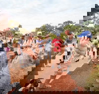 Uluru Kata Tjuta and Kings Canyon Camping Safari from Ayers Rock - Tourism Search