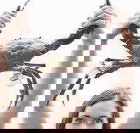 The Ultimate Gold Coast Attractions Pass - Tourism Search