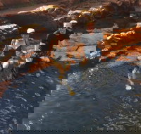 One Day Litchfield Park Adventures - Tourism Search