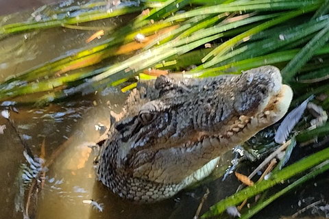 Litchfield Park Adventures And Jumping Crocodile Cruise + Butterfly Farm - Tourism Search 4