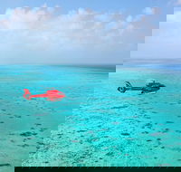 Port Douglas Scenic Flights - Tourism Search