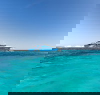 Rottnest Island Bike  Ferry Package from Fremantle - Tourism Search