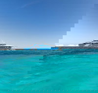 Rottnest Island Bayseeker Day Trip from Perth - Tourism Search