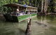 Hartley's Crocodile Adventures Day Trip From Palm Cove - thumb 2