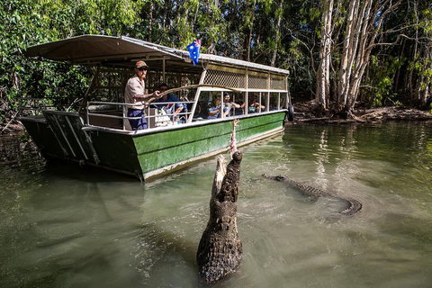 Hartley's Crocodile Adventures Day Trip From Palm Cove - Tourism Search 2