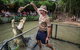 Hartley's Crocodile Adventures Day Trip From Palm Cove - thumb 4