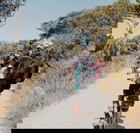 Self-Guided Point Nepean National Park Bike Hire - Tourism Search