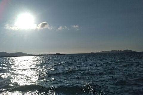 Townsville Small Group Early Morning Sailing Cruise Boat Tour Charter Hire - Tourism Search 4