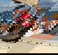 Townsville Private Hire Sunset Sail Sailing Cruise Boat Tour Charter Experience - Tourism Search