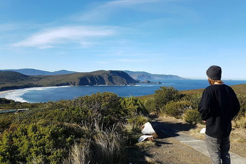 4-Day Fabulous Tasmania Tour: Wineglass Bay, Port Arthur, Devils & Bruny Island - Tourism Search 0