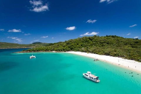 Whitehaven Beach And Hill Inlet | Awesome Beach BBQ | Family Friendly - Tourism Search 3