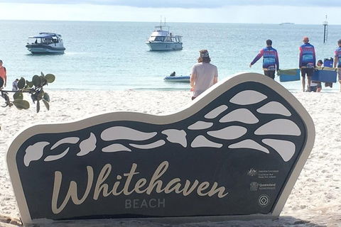 Whitehaven Beach And Hill Inlet | Awesome Beach BBQ | Family Friendly - Tourism Search 5