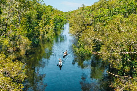 Cruise 'n' Canoe To Australia's Everglades - Tourism Search 3