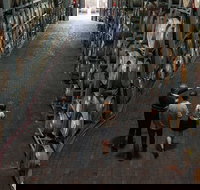 Wirra Wirra Vineyard McLaren Vale Winery Tour and Shiraz Masterclass - Tourism Search