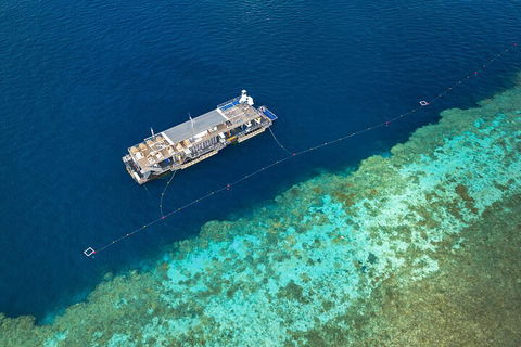 Great Barrier Reef Day Cruise To Reefworld - Tourism Search 2