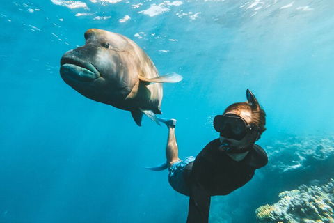 Great Barrier Reef Day Cruise To Reefworld - Tourism Search 3