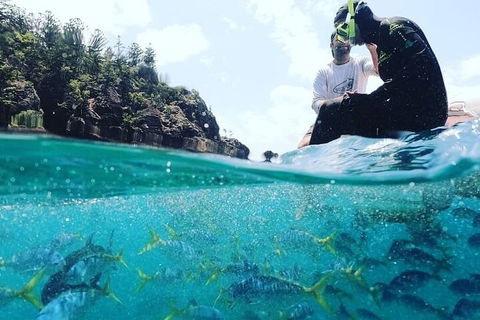 2 Night Small Group Whitsundays Sailing Adventure Aboard Mandrake - Tourism Search 5