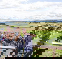 Private Tour of Melbourne - Tourism Search