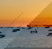 Darwin Hop-on Hop-off Bus Tour - Tourism Search