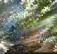 Mossman Gorge Adventure Day - Tourism Search