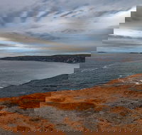Kangaroo Island Luxury Small Group 'Flinders Chase Focus' Full Day Tour - Tourism Search