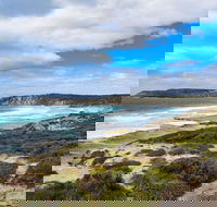 Kangaroo Island Luxury Small Group 'East End Explorer' Full Day Tour - Tourism Search