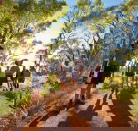 Uluru Small Group Tour including Sunset - Tourism Search