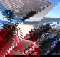 Adventure Rottnest Tour with Ferry  Adventure Cruise from Perth or Fremantle - Tourism Search