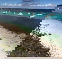 Experience Rottnest with Ferry  Bike Hire from Perth or Fremantle - Tourism Search