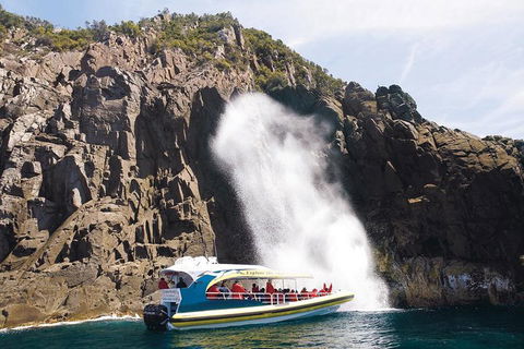 Full-Day Bruny Island Cruises Day Tour From Hobart - Tourism Search 4