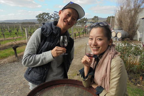 Swan Valley River Cruise And Wine Tasting Day Trip From Perth - Tourism Search 0
