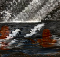 3 Day 4WD Dragonfly Dreaming Top End Safari - Tourism Search