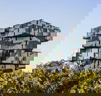 Small Group McLaren Vale and The Cube Experience - Tourism Search