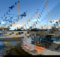 Beyond Byron Hinterland Tour - Tourism Search