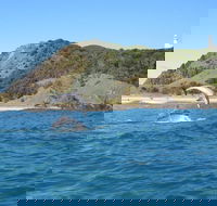 Kayaking with Dolphins in Byron Bay Guided Tour - Tourism Search