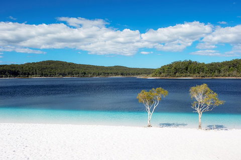 All-Inclusive Fraser Island Day Tour - Tourism Search 3