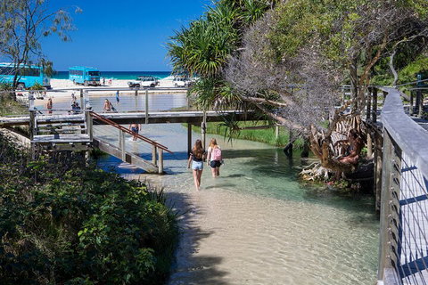 All-Inclusive Fraser Island Day Tour - Tourism Search 4