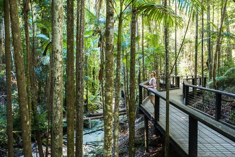 All-Inclusive Fraser Island Day Tour - Tourism Search 5