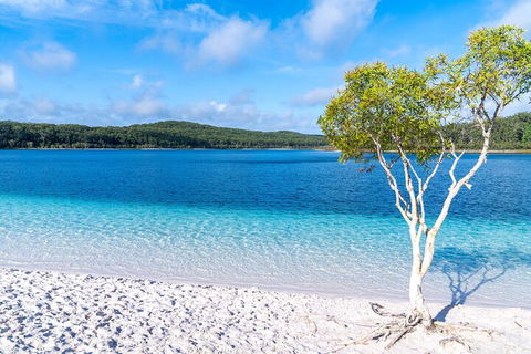 Lake McKenzie Full-Day Tour With Lunch From Hervey Bay - Tourism Search 1