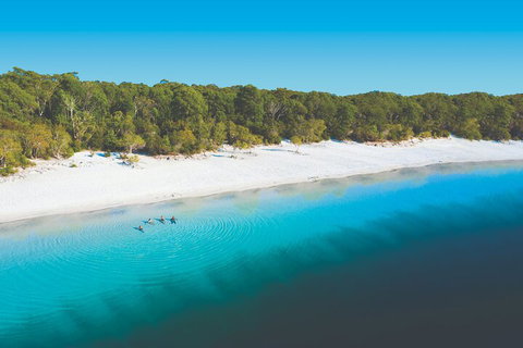 Lake McKenzie Full-Day Tour With Lunch From Hervey Bay - Tourism Search 4