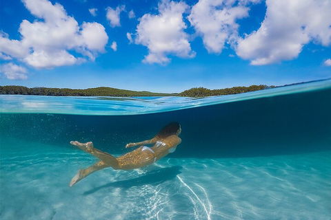 Lake McKenzie Full-Day Tour With Lunch From Hervey Bay - Tourism Search 5