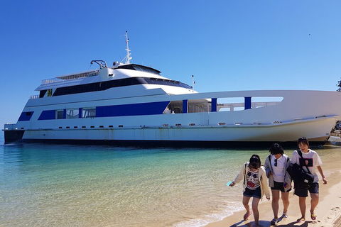 Moreton Island Day Trip (Kayak, Snorkel & Sandboard) Frm Brisbane Or Gold Coast - Tourism Search 0