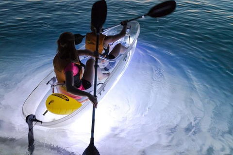 2-Day Moreton Island Tour From Brisbane Or Gold Coast With Optional Nighttime Kayaking - Tourism Search 0