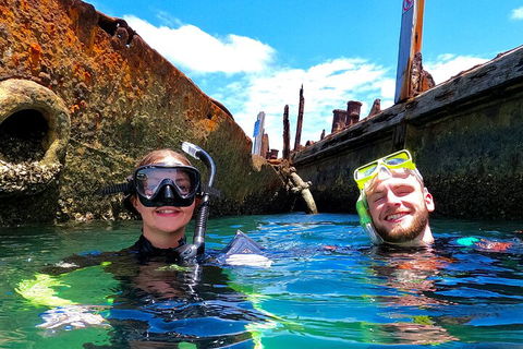 2-Day Moreton Island Tour From Brisbane Or Gold Coast With Optional Nighttime Kayaking - Tourism Search 2