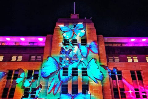 Vivid 90-Minute Sydney Harbour Small Group Catamaran Cruise - Tourism Search 0