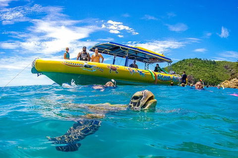 Great Barrier Reef Scenic Flight And Ocean Rafting Whitehaven Beach Day Trip - Tourism Search 1