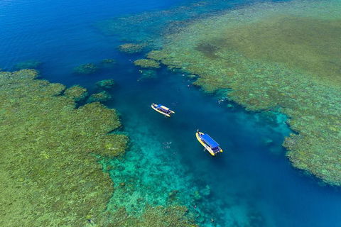 Great Barrier Reef Scenic Flight And Ocean Rafting Whitehaven Beach Day Trip - Tourism Search 4