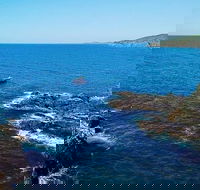 Julian Rocks Byron Bay Cruise - Tourism Search