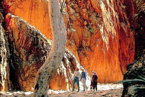 West MacDonnell Ranges Day Trip From Alice Springs - Tourism Search 3