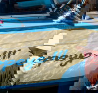 Torrens River Cruise in Adelaide - Tourism Search